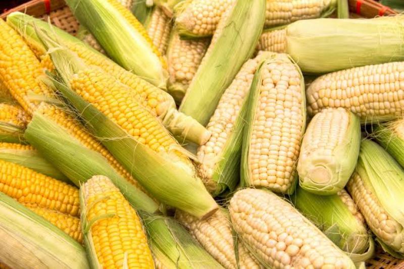 produits agricoles